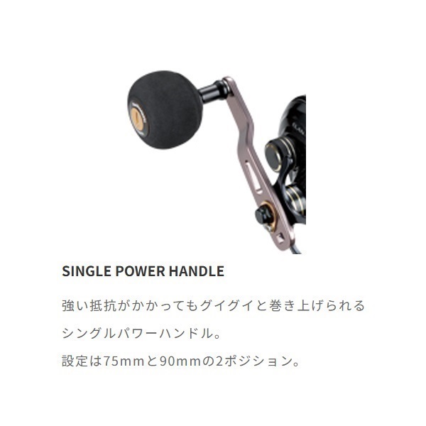 24エランスーパー ワイドパワー81